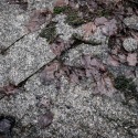 DSCF2521