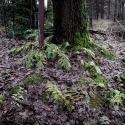 DSCF2567