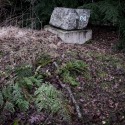 DSCF2574
