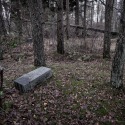 DSCF2658