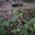 DSCF2659