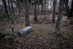 DSCF2658