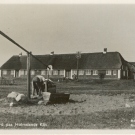 Holmsland Klit