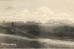5.Lyngvig.20