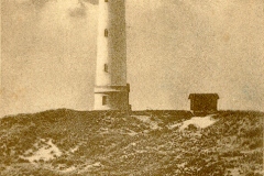 5.Lyngvig.5