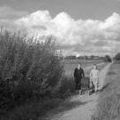 Kirkestien
