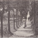 Nørredige