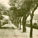 Reberbanen