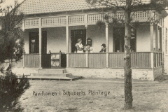 Schuberts Plantage