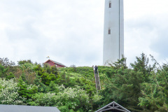 DSC_6187