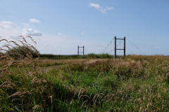 DSCF3130-LR